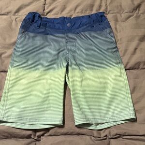 Striped Ombre Board Shorts in Blue and Light Green